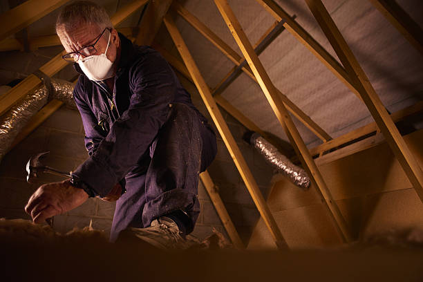 Best Insulation for Specific Applications in Ke Providence, LA